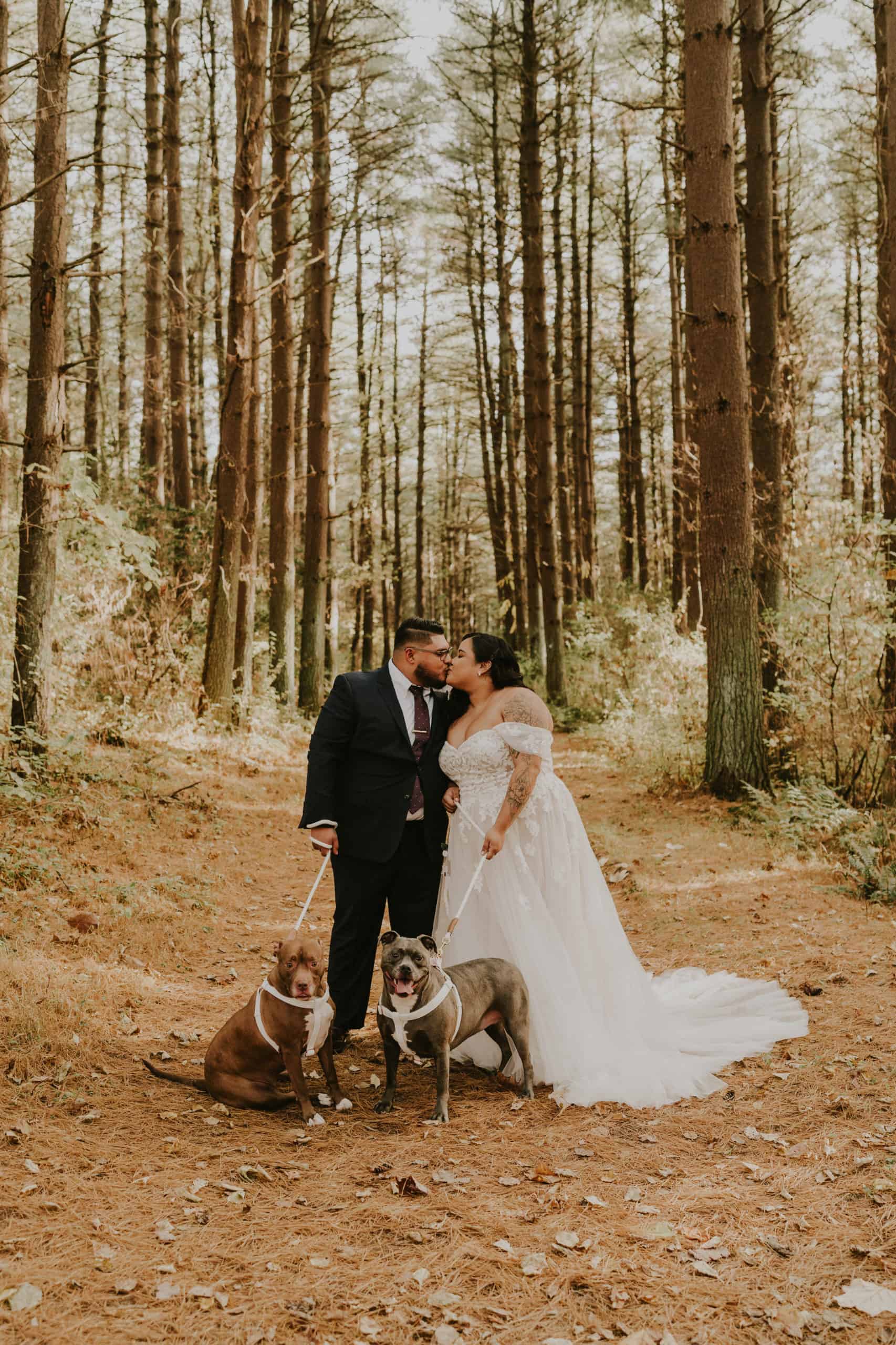 Maryland Forest Elopement at Golden Hour