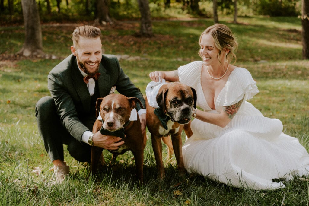 Bride and groom with two dogs