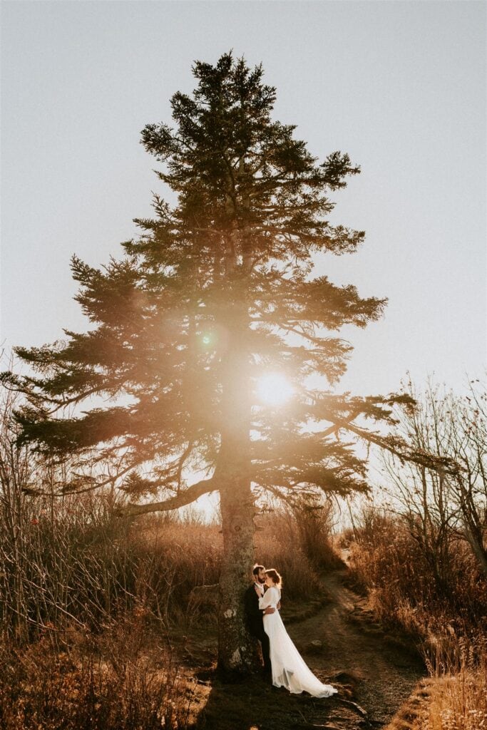 bride and groom embracing under large pine tree in asheville north carolina