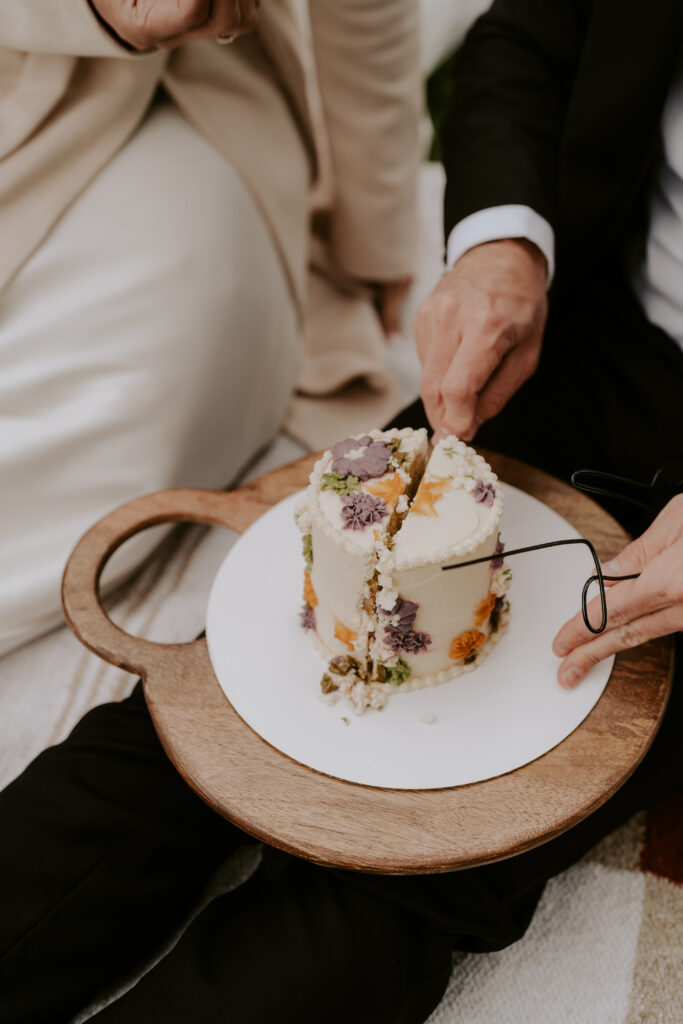 Zion Lodge Lawn Elopement Picnic Cake