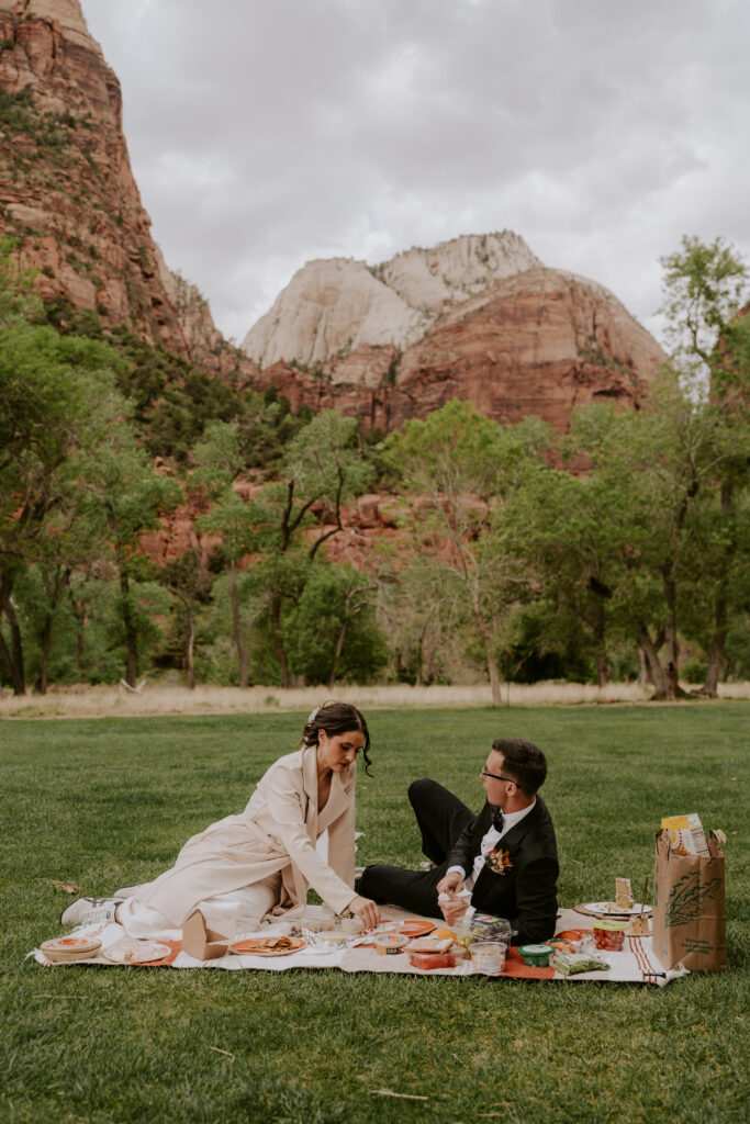 Zion Lodge Lawn Elopement Picnic Cake