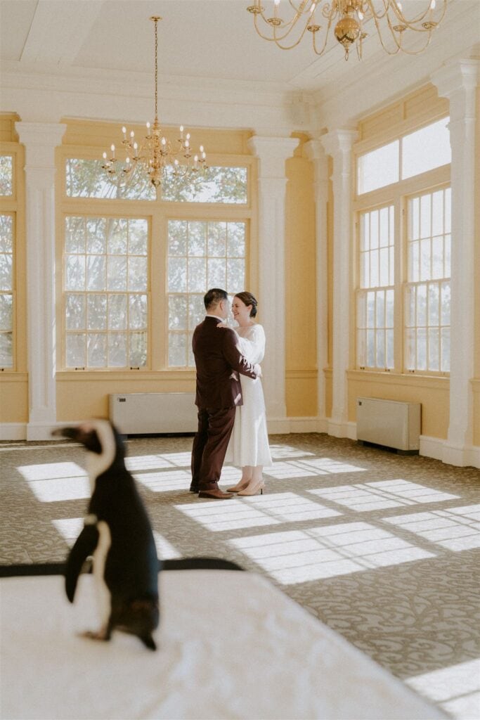 bride and groom sharing their first dance in a room in front of a cute little penguin