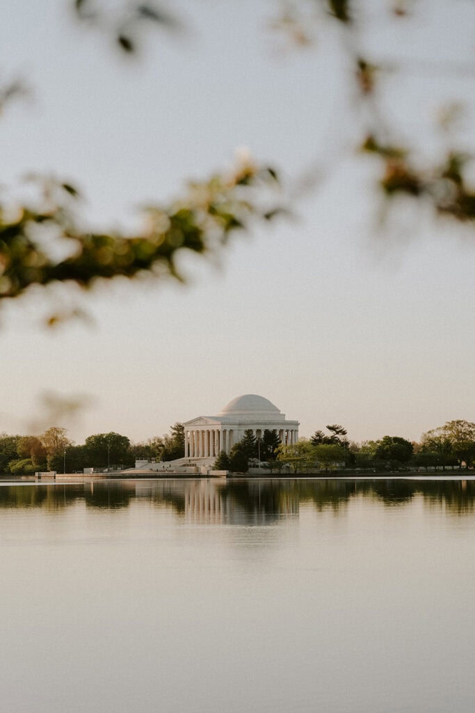dc cherry blossom wedding 42