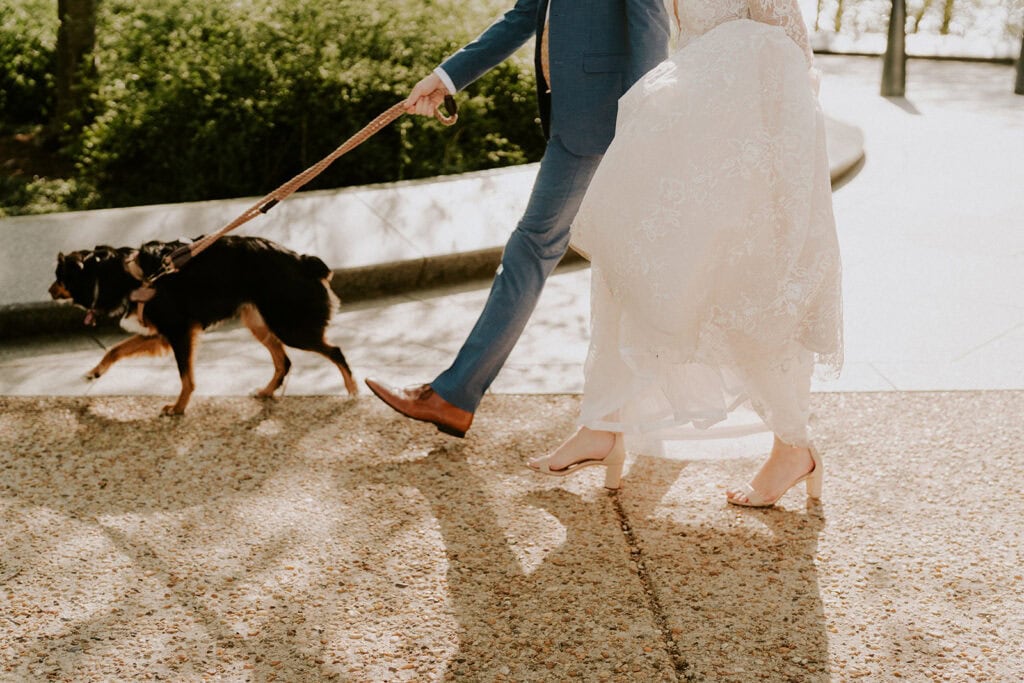 bride and groom walking their pup in Georgetown, DC