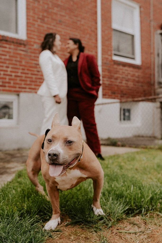 brides posing with their dog